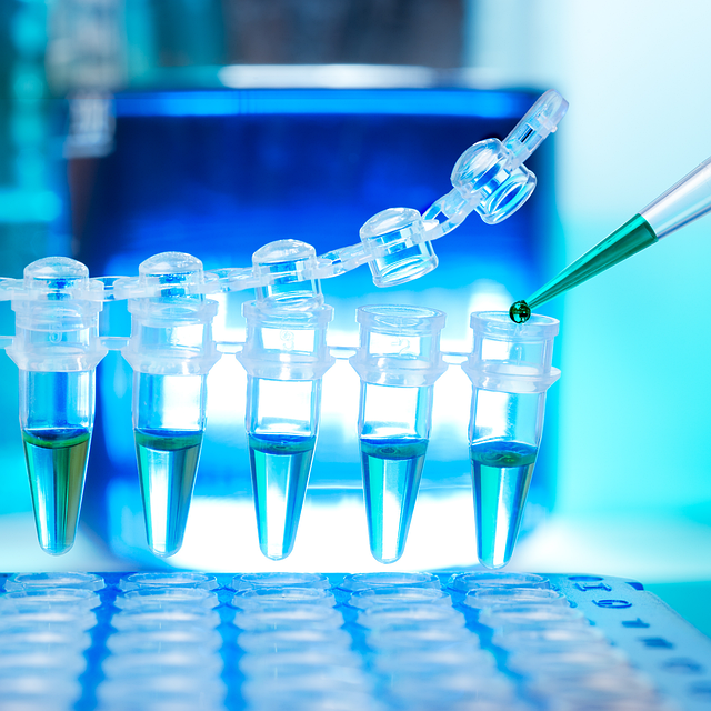 基于三甲基羥乙基雙氨乙基醚 CAS 83016-70-0的環(huán)保型水發(fā)泡聚氨酯體系研究