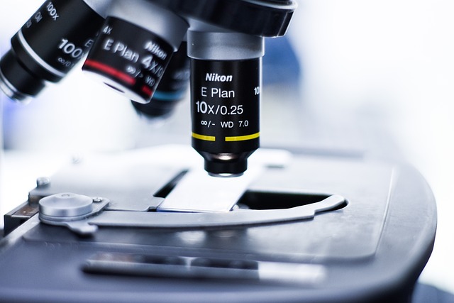 聚氨酯催化劑PT303對(duì)聚氨酯軟泡的孔隙結(jié)構(gòu)和物理機(jī)械性能的影響